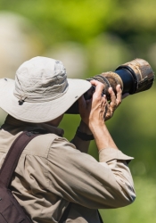 photographer